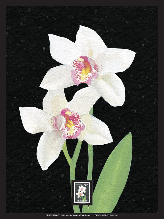 Orchid Framed Wall Art with Postage Stamp